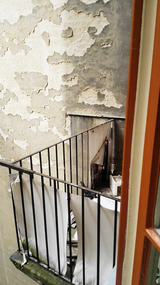 Holoubek můj maličký